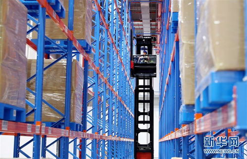 構(gòu)建雙循環(huán)，闖出新天地——從長(zhǎng)三角叉車產(chǎn)業(yè)看中國(guó)外貿(mào)新動(dòng)能